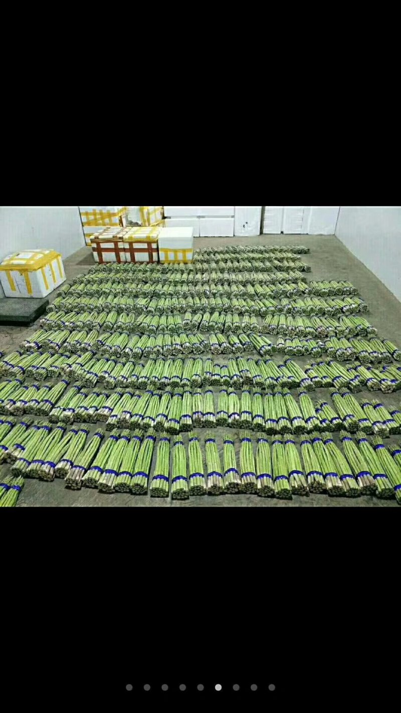 特菜一份35元，5个产品
