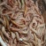 海麻虾