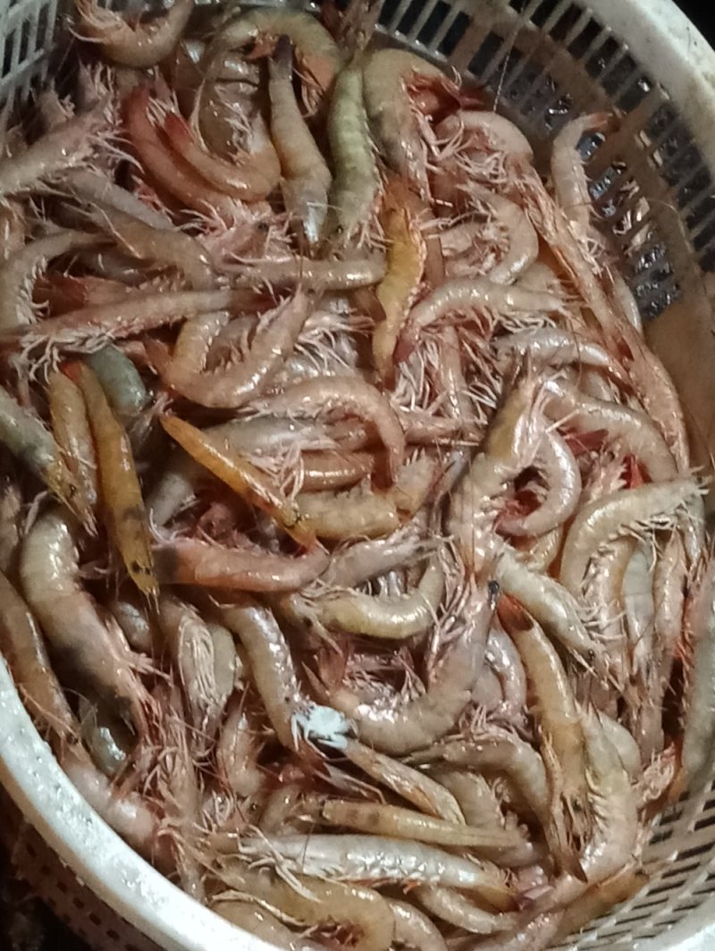 海麻虾