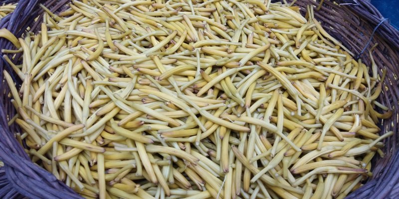 干黄花菜熟条纸条颜色好
