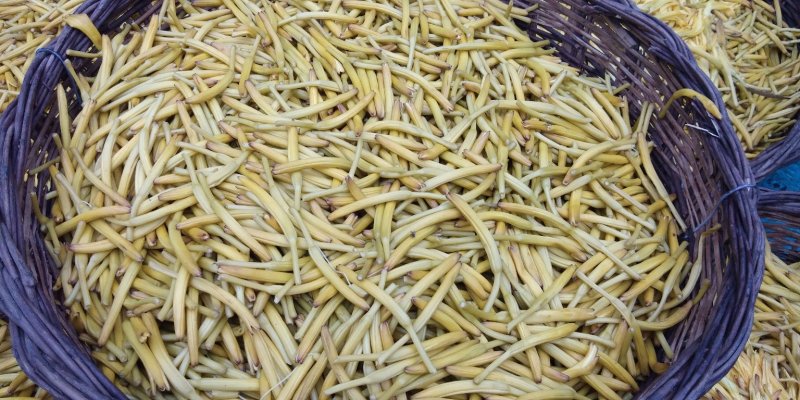 干黄花菜熟条纸条颜色好