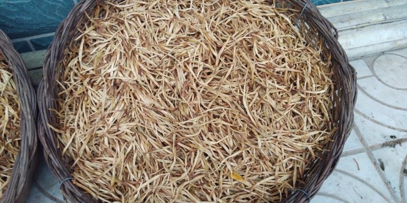 干黄花菜熟条纸条颜色好