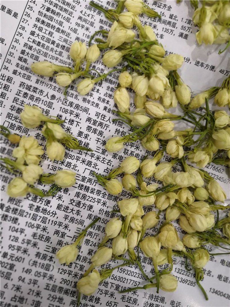 茉莉花茶