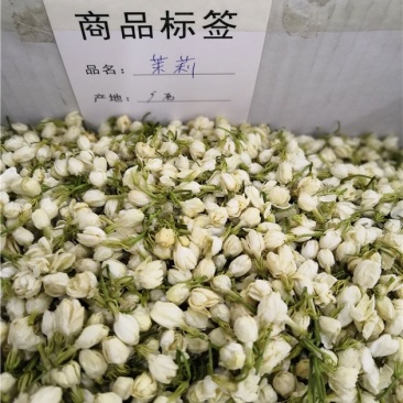 茉莉花茶