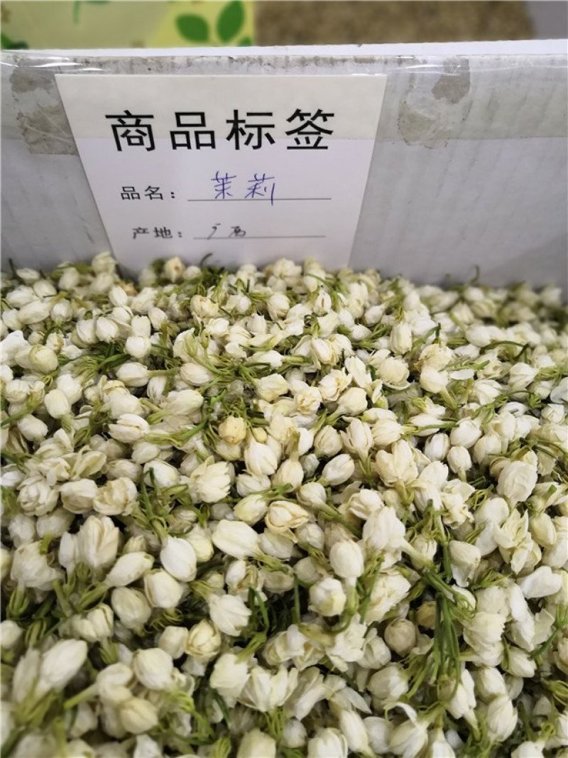 茉莉花茶