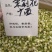 茉莉花茶