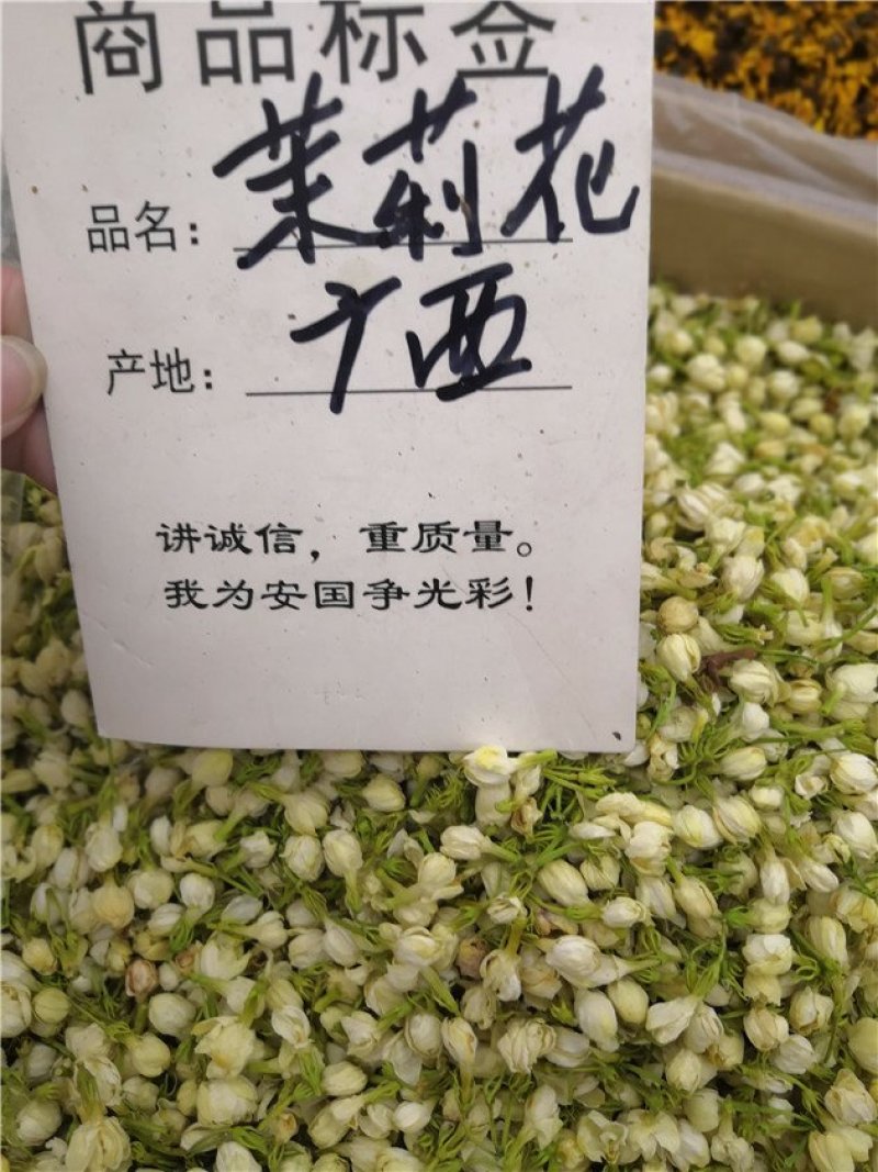 茉莉花茶