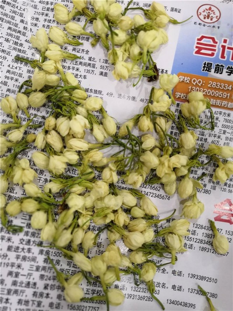 茉莉花茶