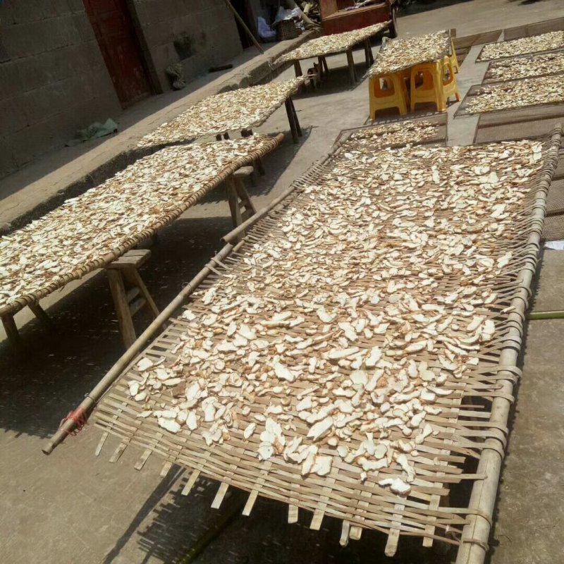 大量出售黄精