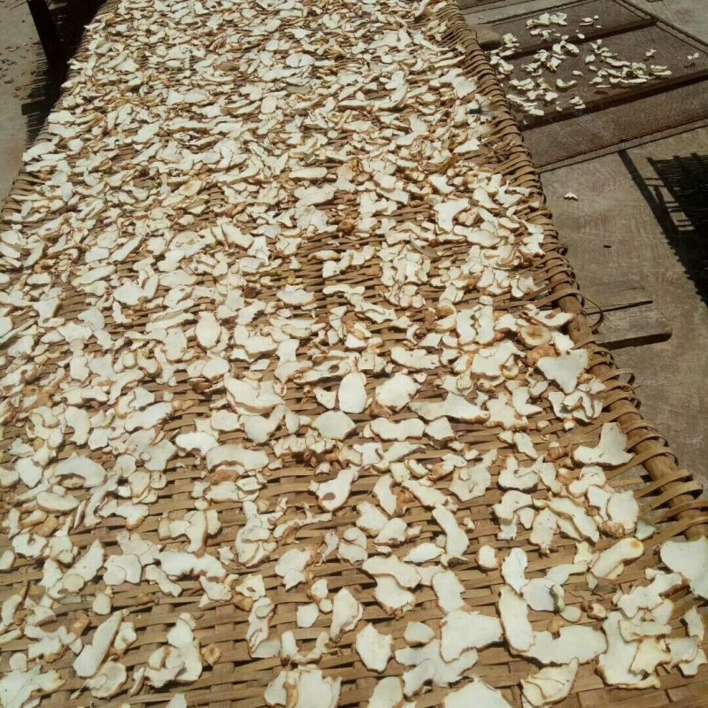 大量出售黄精