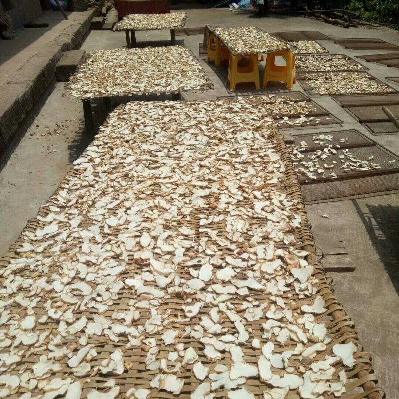 大量出售黄精