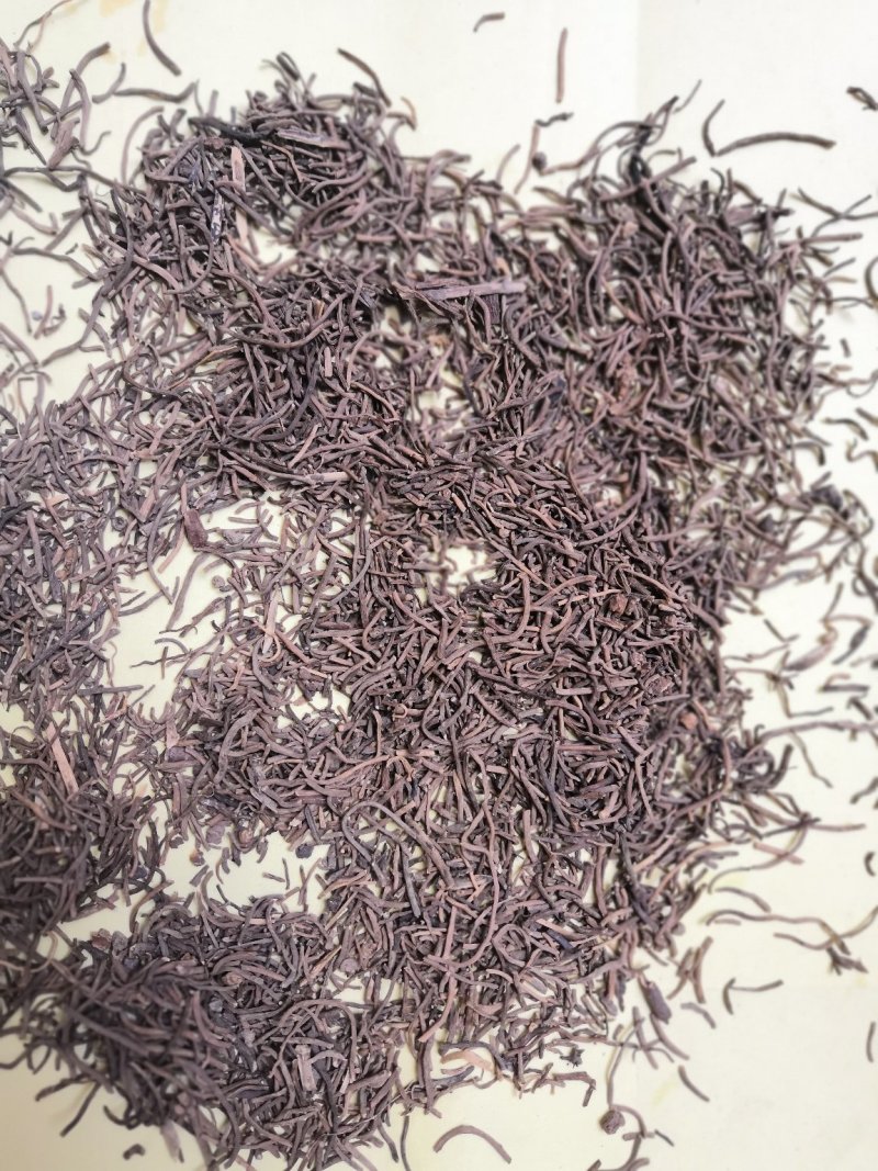 白薇