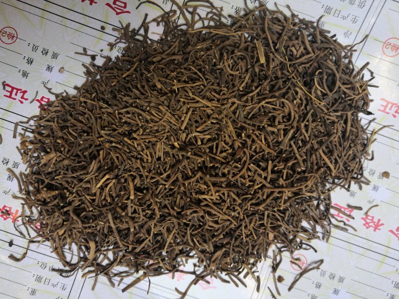 白薇