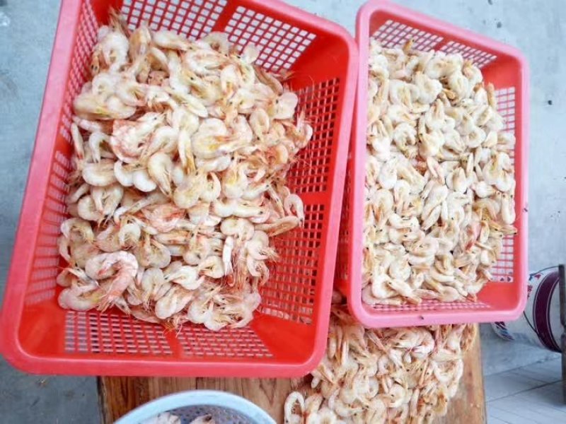 海虾干
