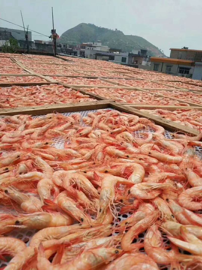 海虾干