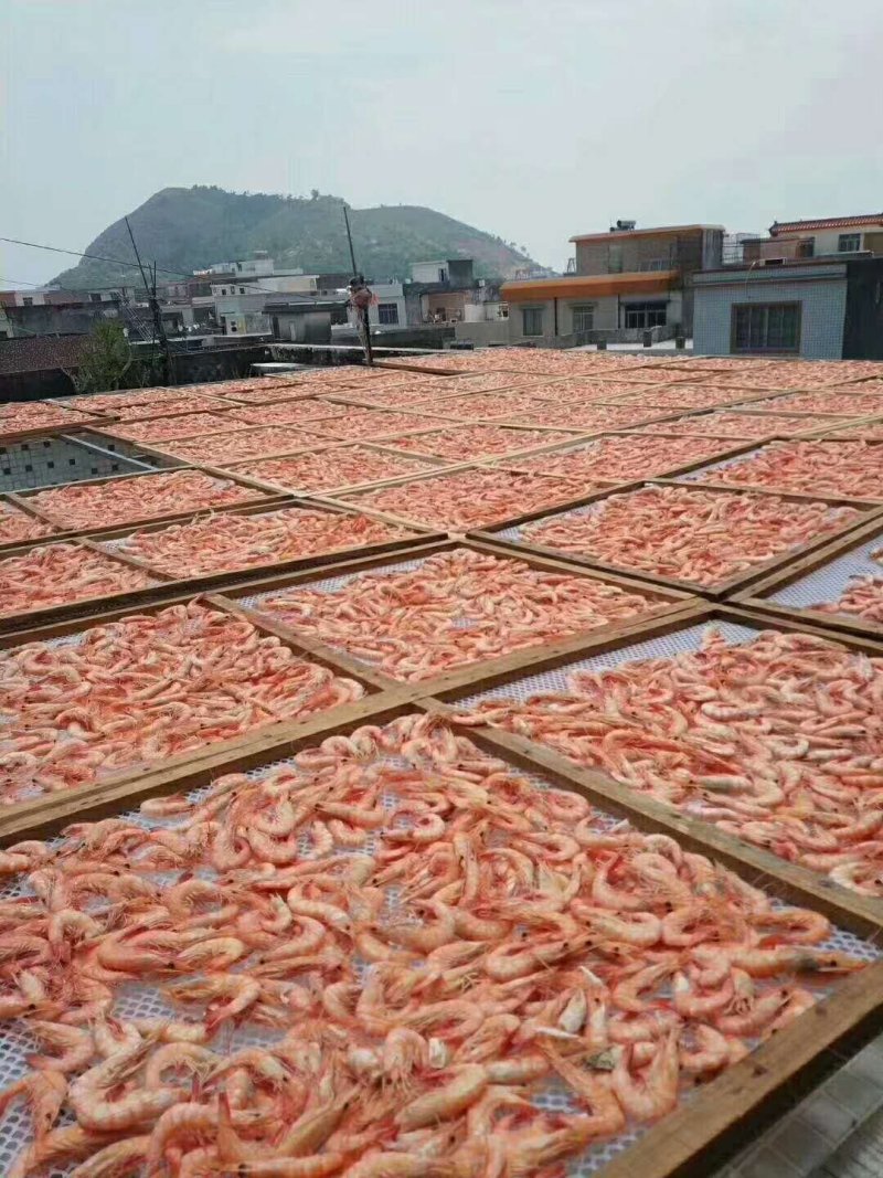 海虾干