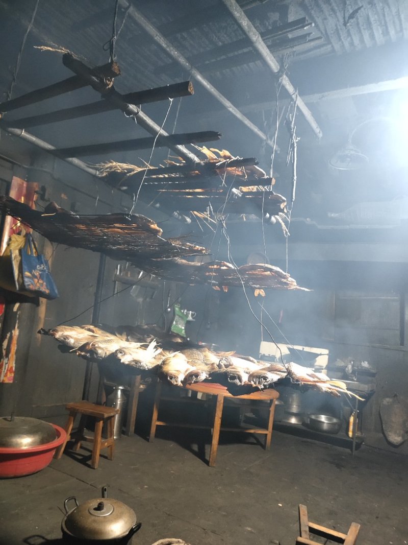 鲤鱼