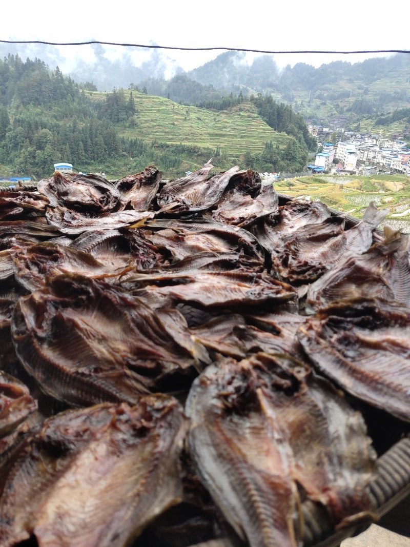 鲤鱼