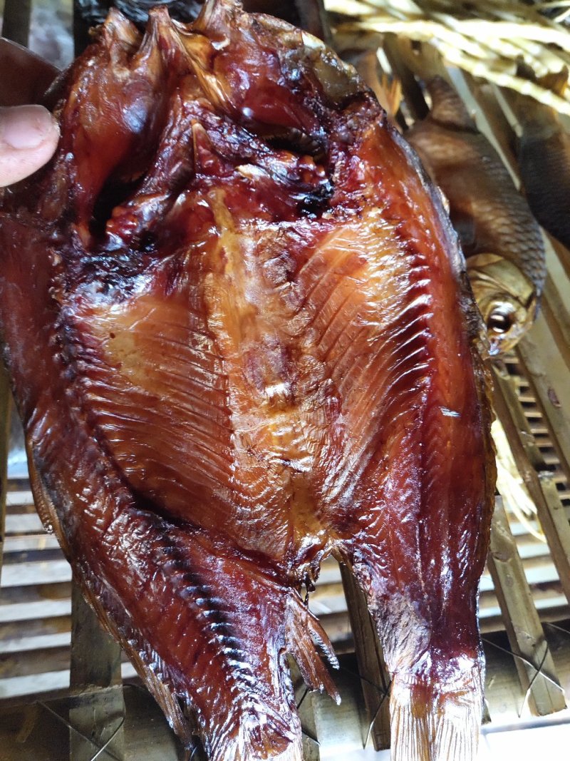 鲤鱼