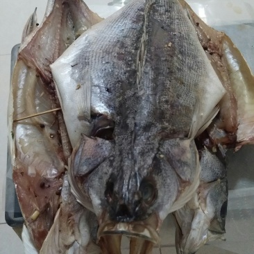 自制风干鲈鱼