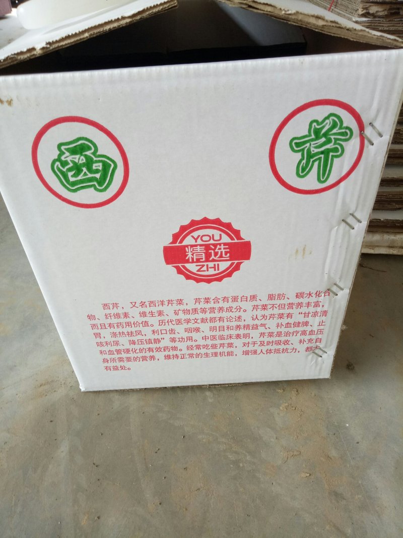 剁头西芹。70公分左右3毛。毛菜也同时大量上市中。