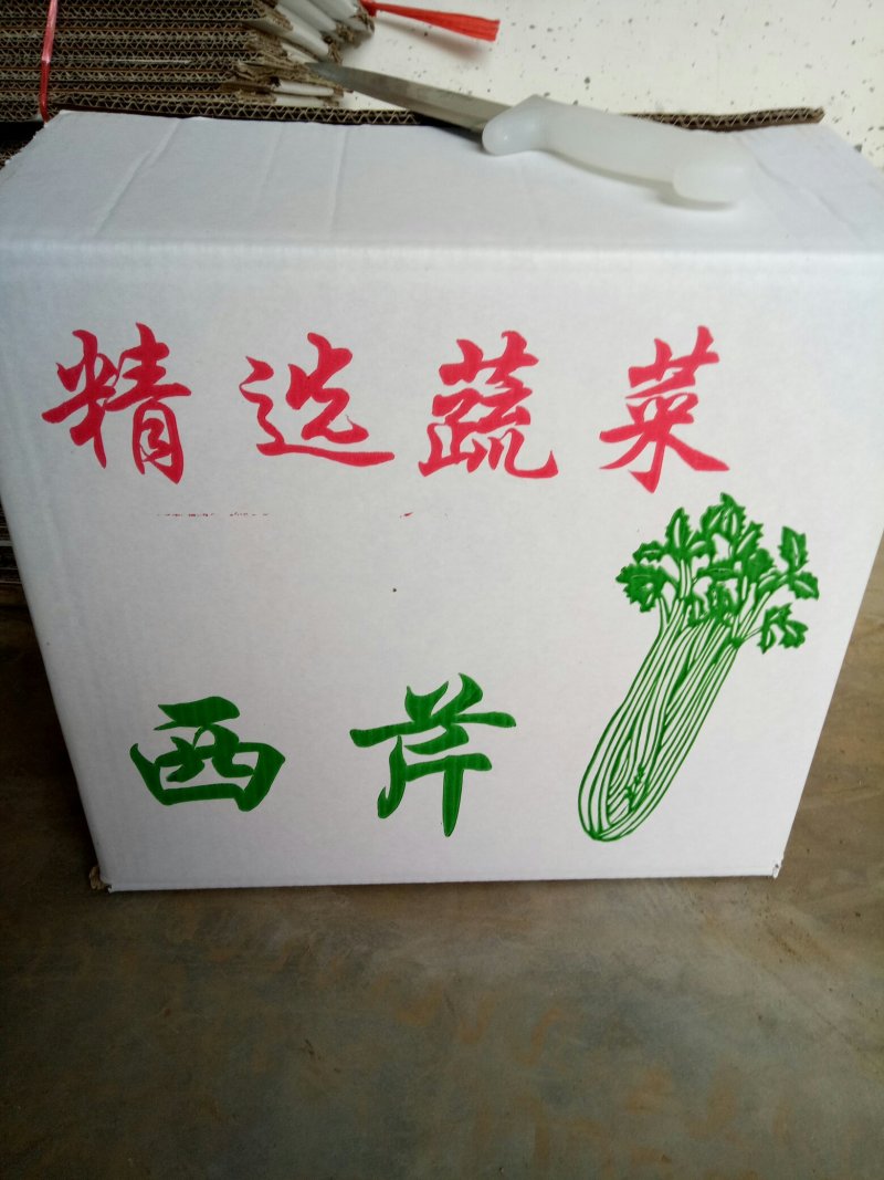 剁头西芹。70公分左右3毛。毛菜也同时大量上市中。