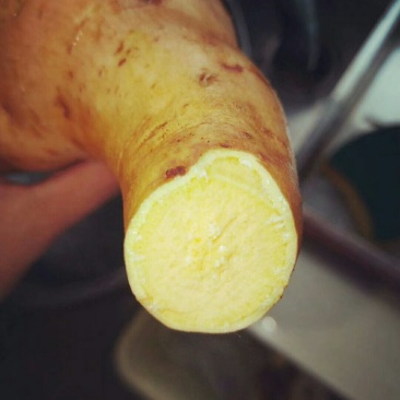 红薯大量批发中，现有红薯淀粉价格便宜