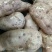红薯大量批发中，现有红薯淀粉价格便宜