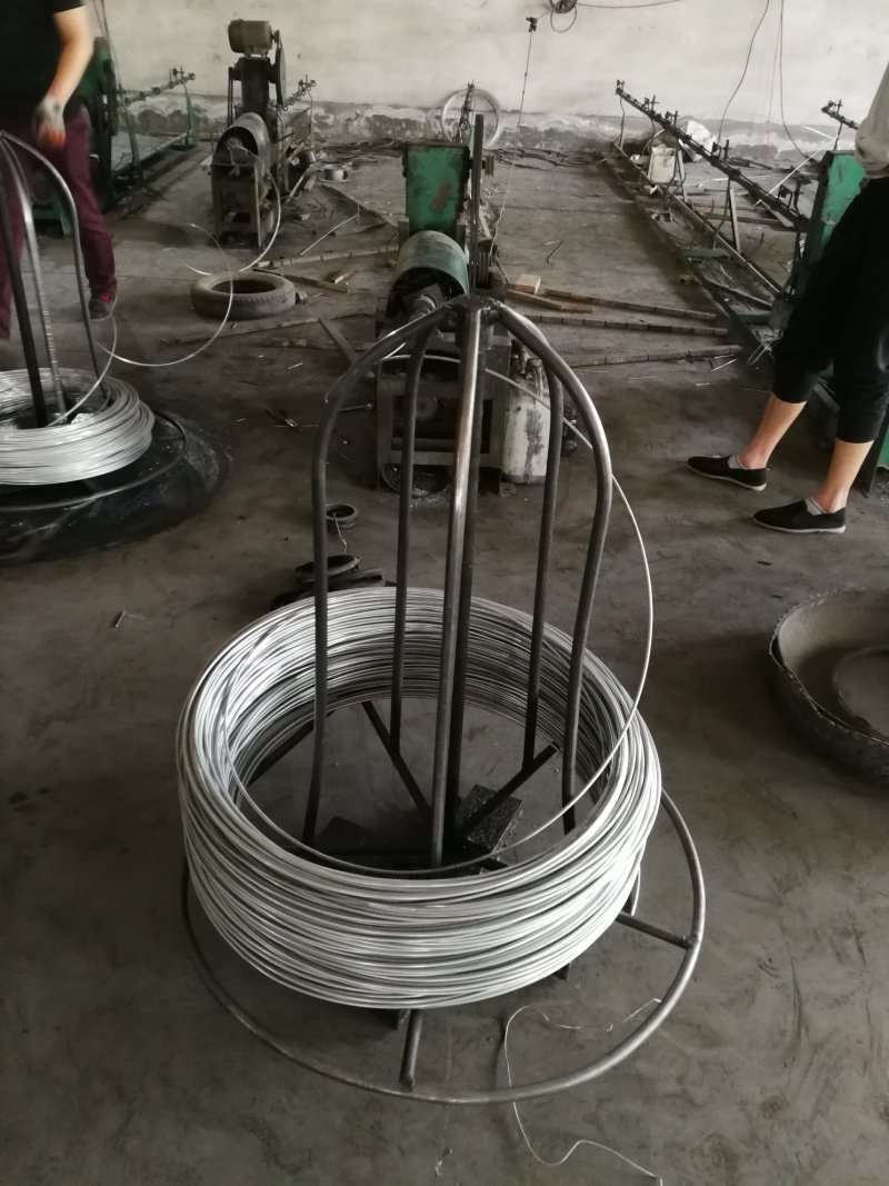 镀锌网片不锈钢网片焊接网生货网片
