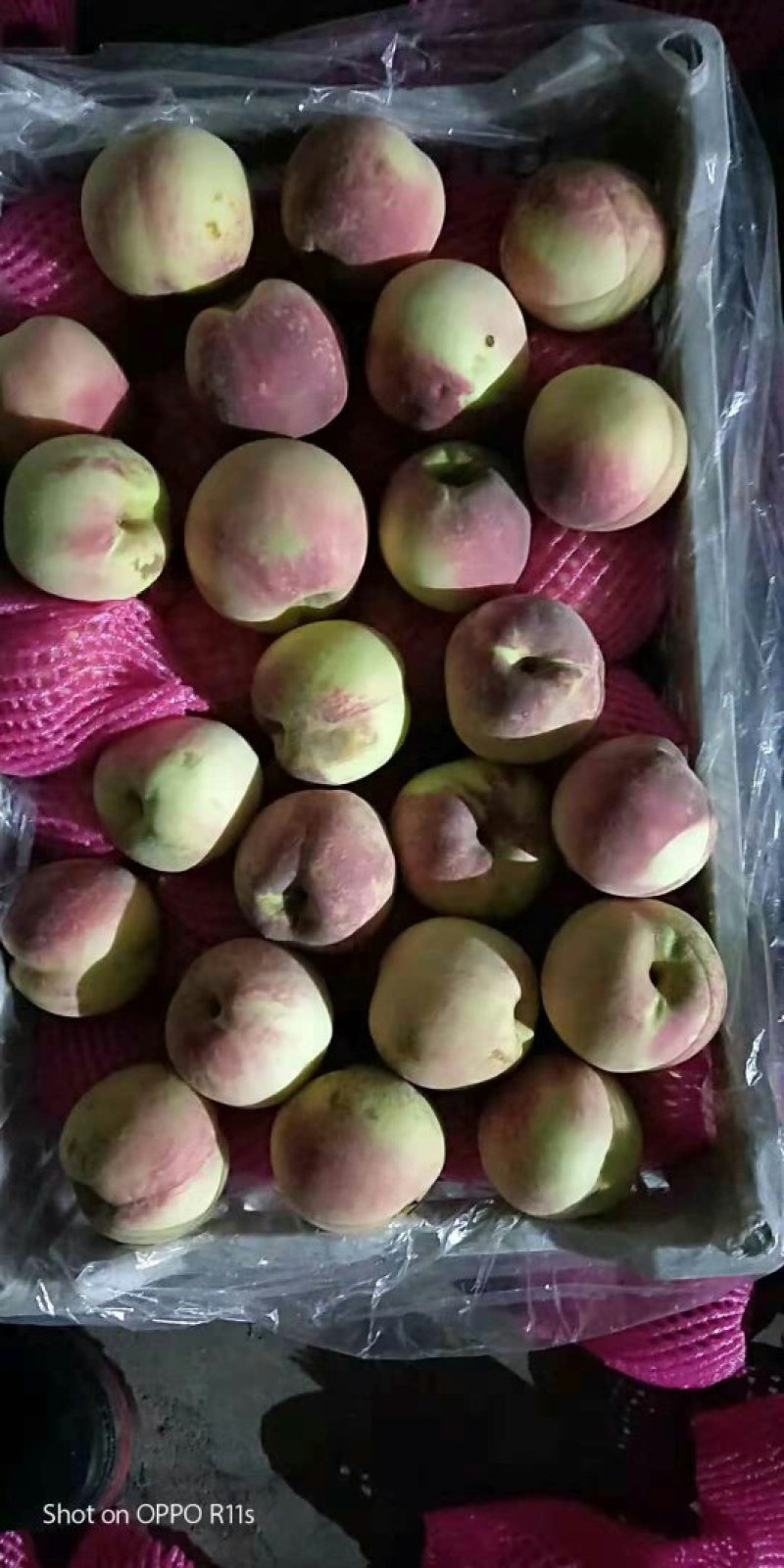 金秋红密