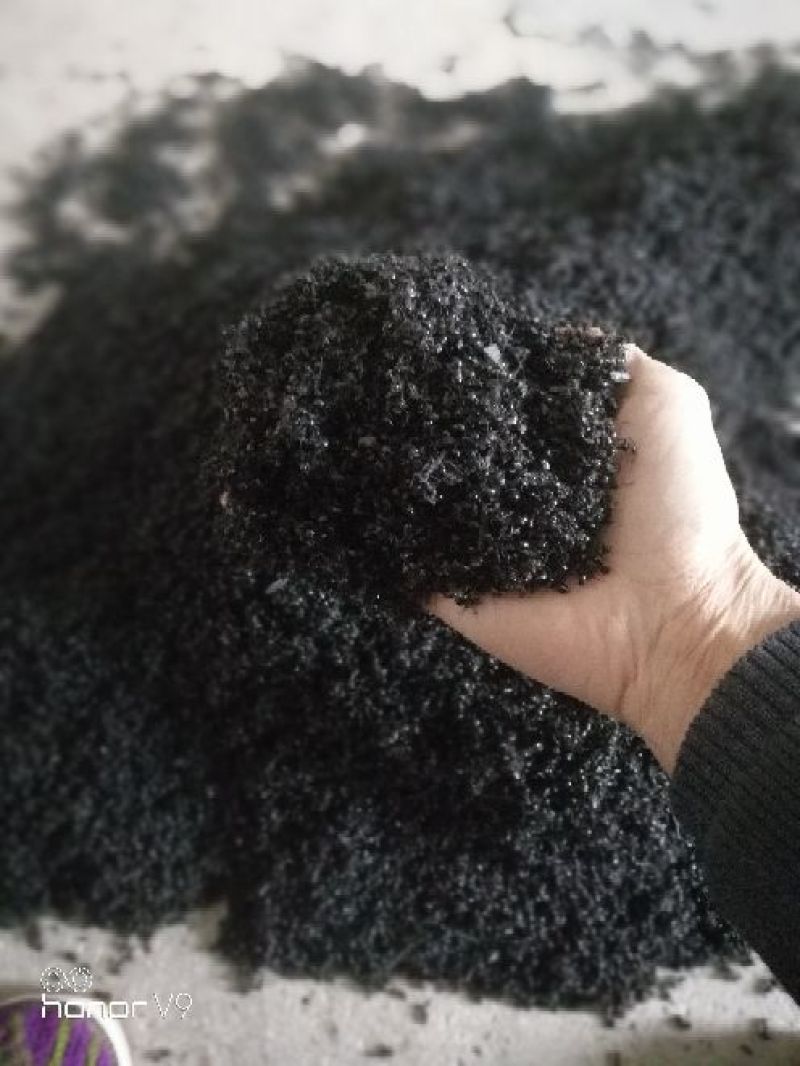 野生多刺干蚂蚁50斤起批