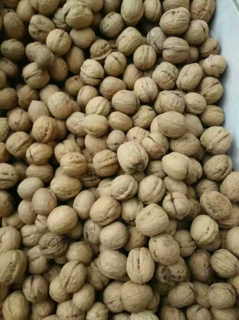 核桃