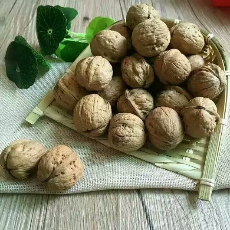 核桃