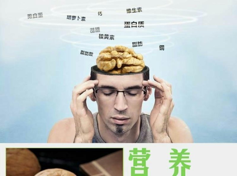 核桃