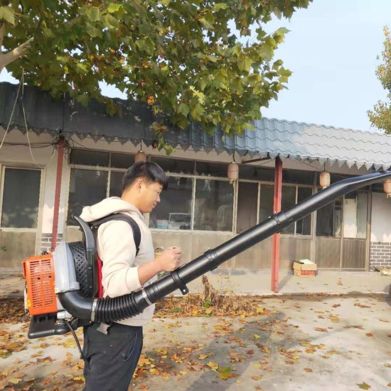 便携式混合油吹雪机