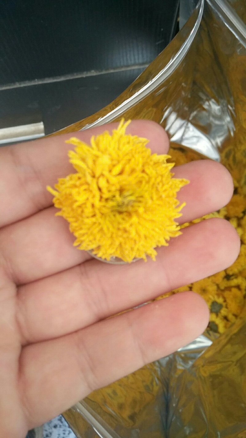 菊花茶