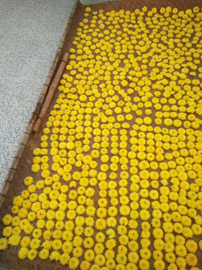 菊花茶