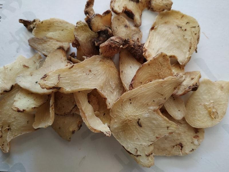 白芨欢迎电话咨询自产自销营养丰富品质保证