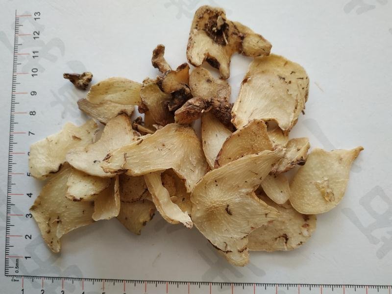 白芨欢迎电话咨询自产自销营养丰富品质保证