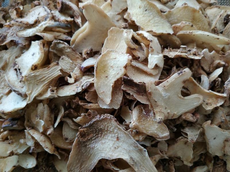 白芨欢迎电话咨询自产自销营养丰富品质保证