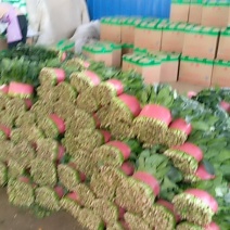 大叶菠菜