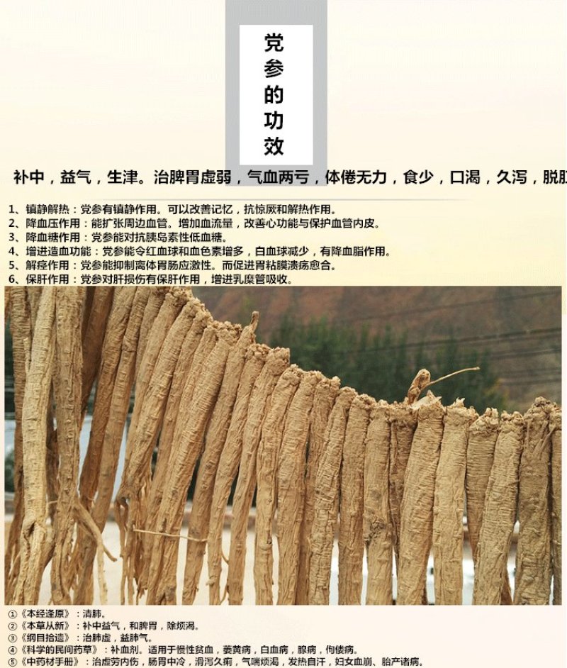 党参特大条新货