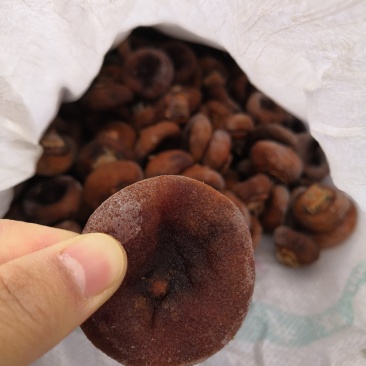 柿饼
