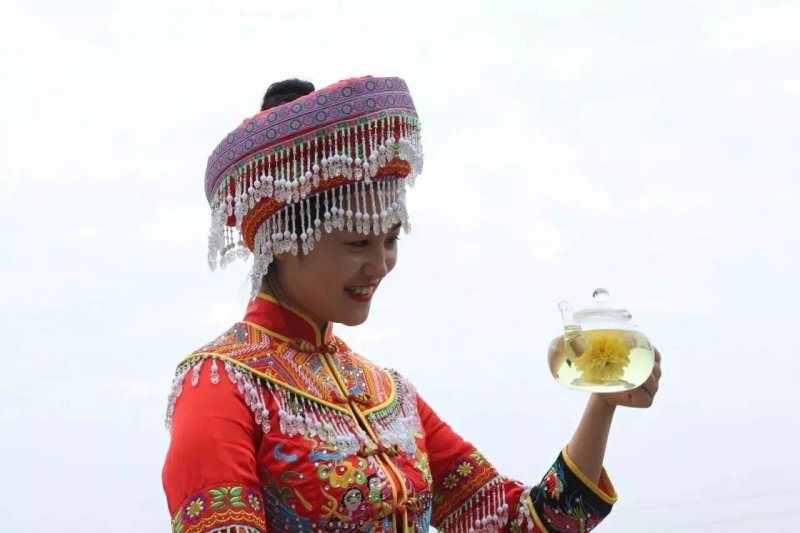 原生态富硒皇菊