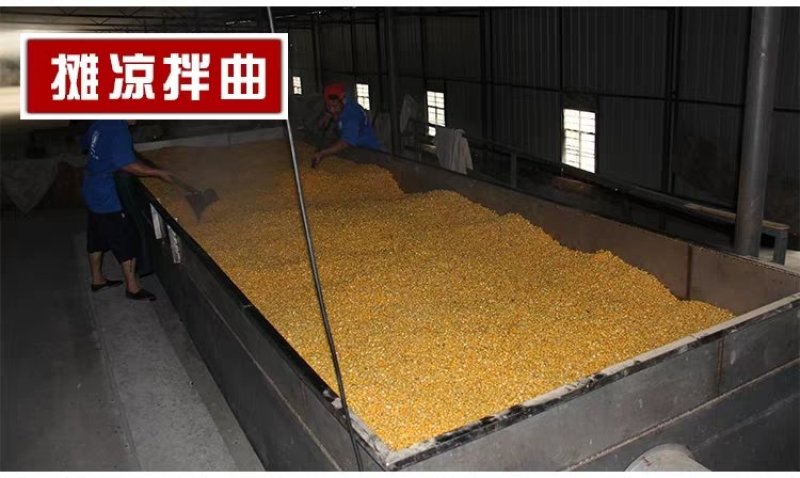 农家自产包谷酒玉米酒10斤包邮
