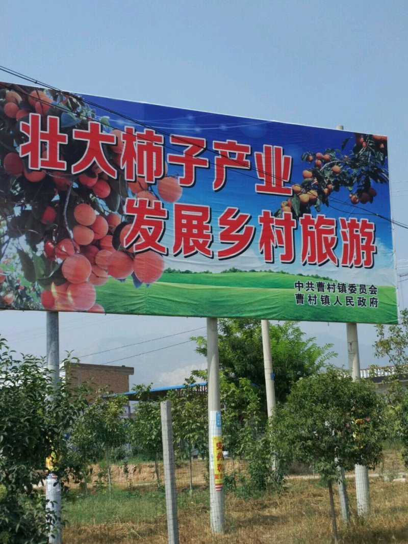富平柿饼农家自制自然上霜手工吊饼五斤包邮