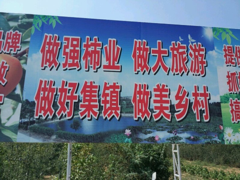 富平柿饼农家自制自然上霜手工吊饼五斤包邮
