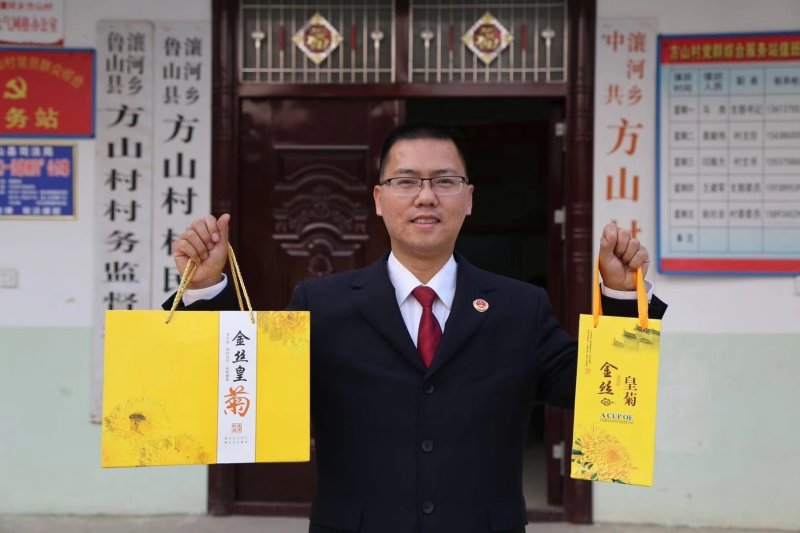 金丝皇菊茶