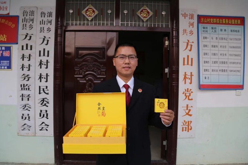 金丝皇菊茶
