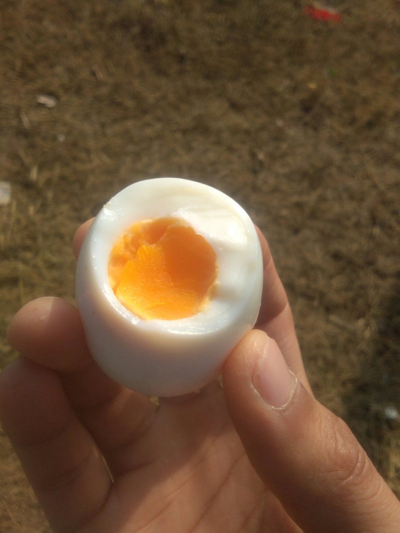 土鸡蛋草鸡蛋